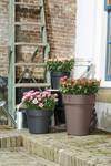 green basics top planter high 35cm taupe